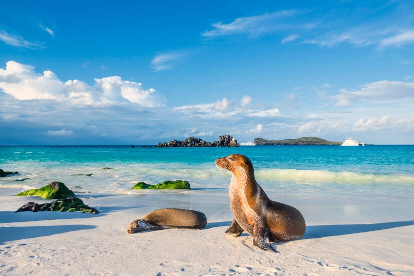 Española Island, Ecuador, Ecuador